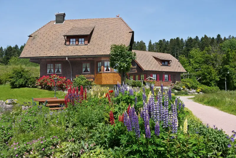 Ferienwohnung  Waldachtal