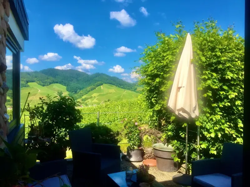 Ferienwohnung Bühl