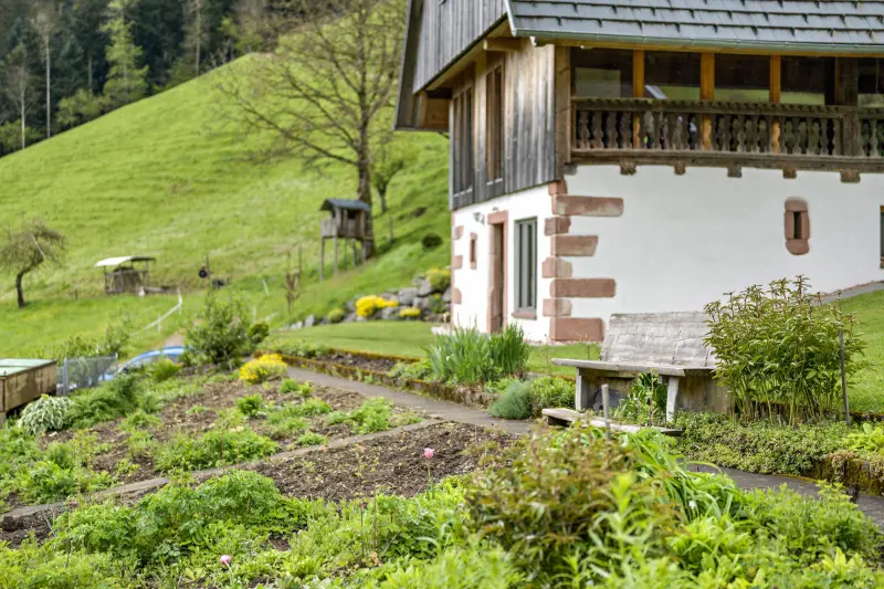Ferienwohnung Wolfach