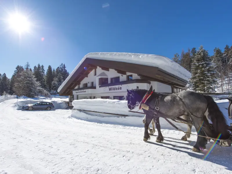 Ferienwohnung in Seefeld in Tirol, Gemeinde Seefeld in Tirol f&uuml;r max. 2 Personen