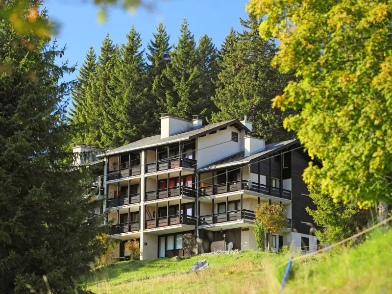 Ferienwohnung mit Hund in Gryon, Barboleuse f&uuml;r max. 4 Personen