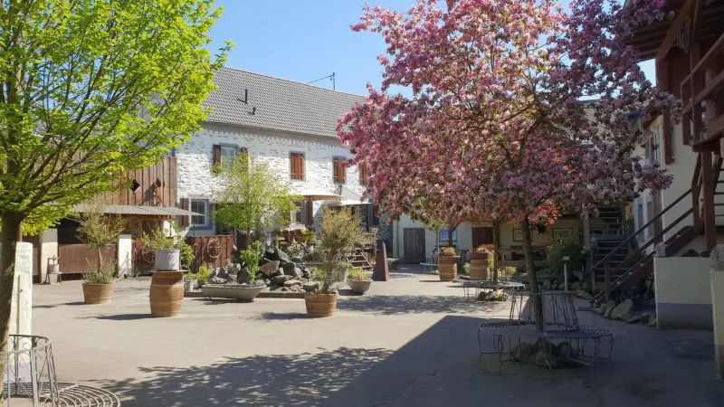 Ferienwohnung Münstermaifeld