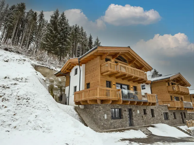 Chalet mit Hund in Mühlbach am Hochkönig f&uuml;r max. 12 Personen