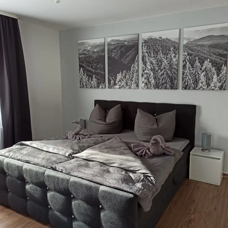 Ferienwohnung Johanngeorgenstadt