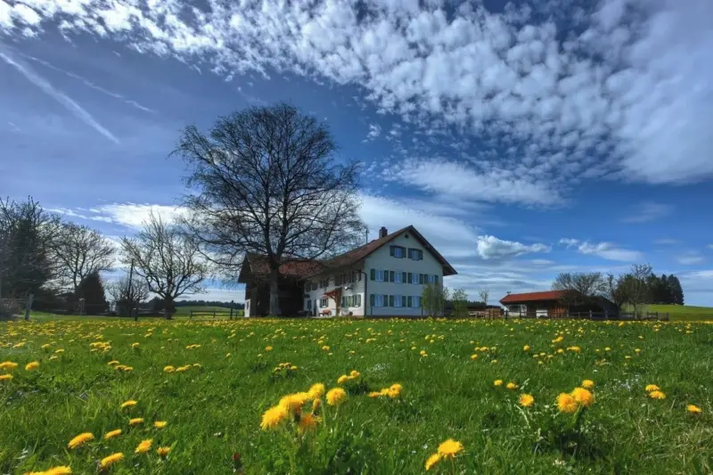 Ferienhaus Rückholz