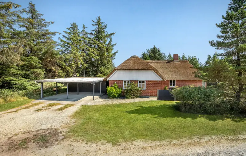 Ferienhaus Blåvand