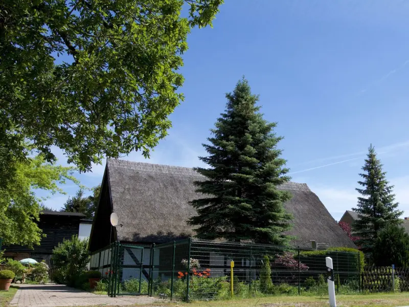 Ferienhaus  Ahlbeck