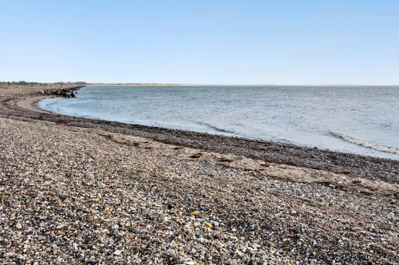 Ferienhaus mit Hund inHurup, Dänische Nordseeküste  f&uuml;r max. 5 Personen
