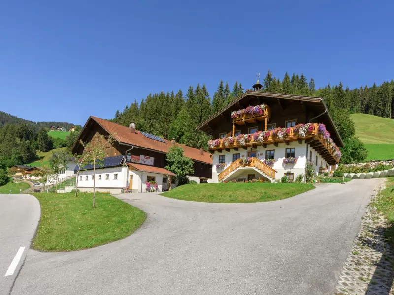Ferienwohnung mit Hund in Schwaighof, Salzburger Sportwelt fuer max. 8 Personen