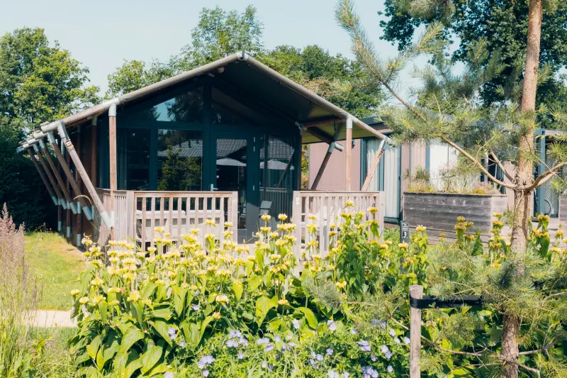 Gemütliches Ferienhaus mit Pool und Terrasse | Haustiere erlaubt