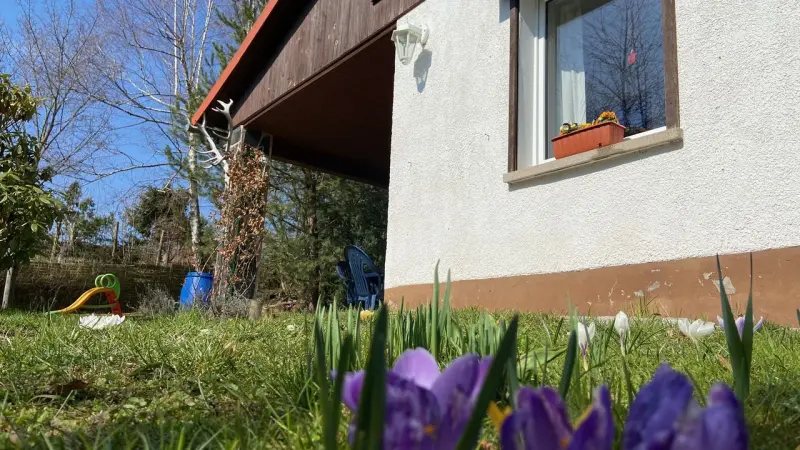 Ferienhaus Waltershausen