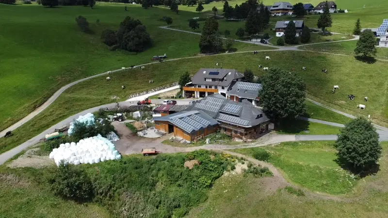 Ferienwohnung Oberried