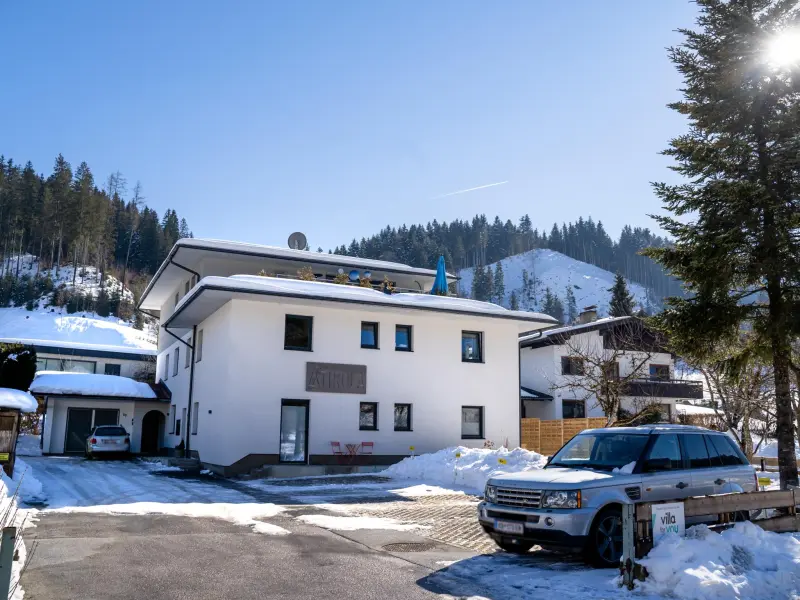 Ferienwohnung mit Hund in Hopfgarten im Brixental fuer max. 2 Personen