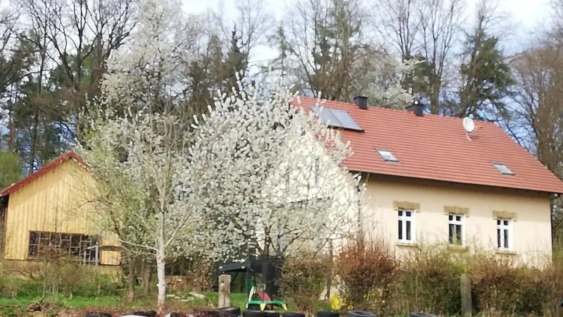 Ferienhaus  Regenstauf