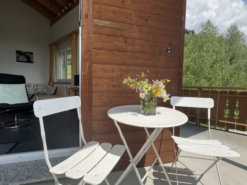 Ferienwohnung  Disentis/Mustér