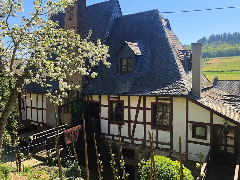 Ferienwohnung Zell (Mosel)