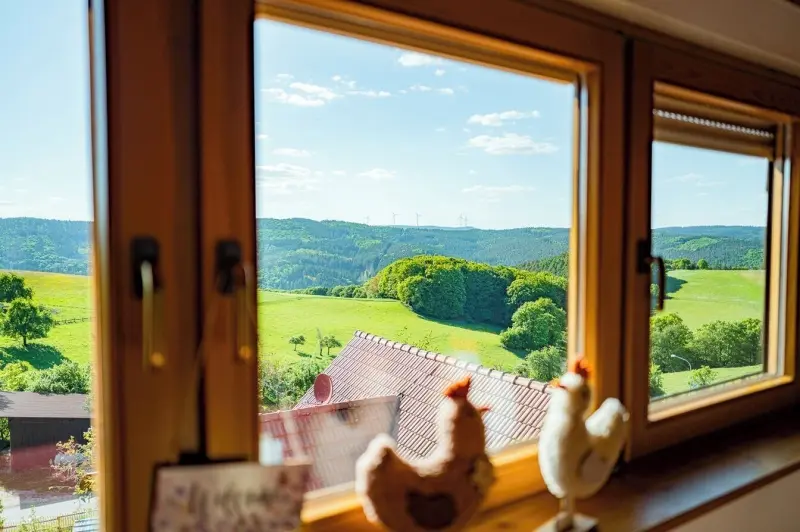 Ferienwohnung  Neckargemünd