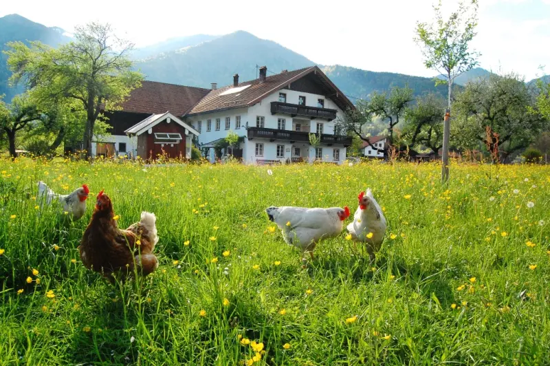 Ferienwohnung Schleching