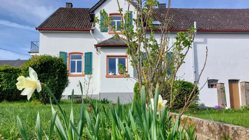 Ferienhaus  Hillesheim