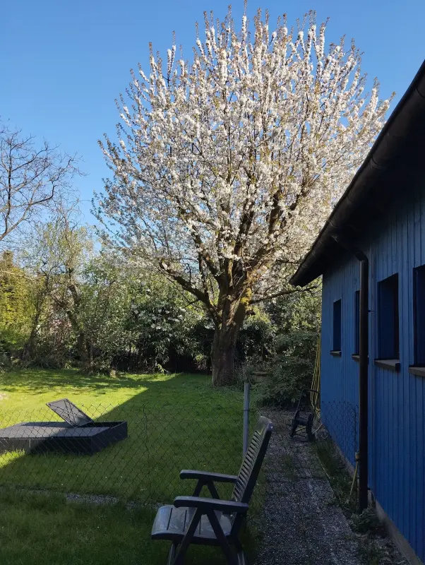 Ferienhaus Neukirchen