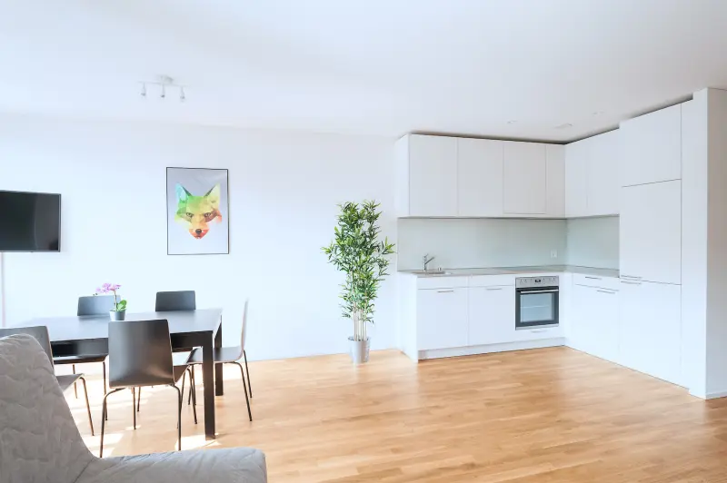 Ferienwohnung  Basel