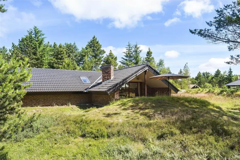 Ferienhaus mit Hund inHo  f&uuml;r max. 6 Personen