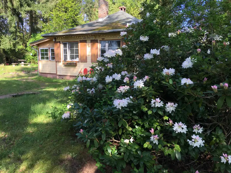 Ferienhaus  Luhme