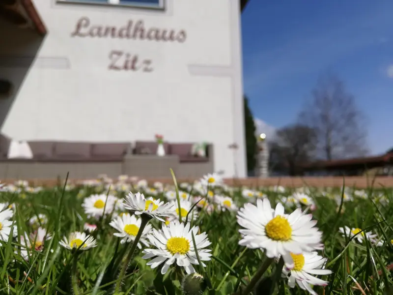 Ferienwohnung Ranten