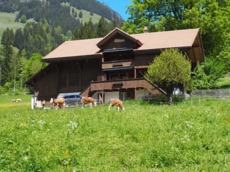 Appartement Kiental BE