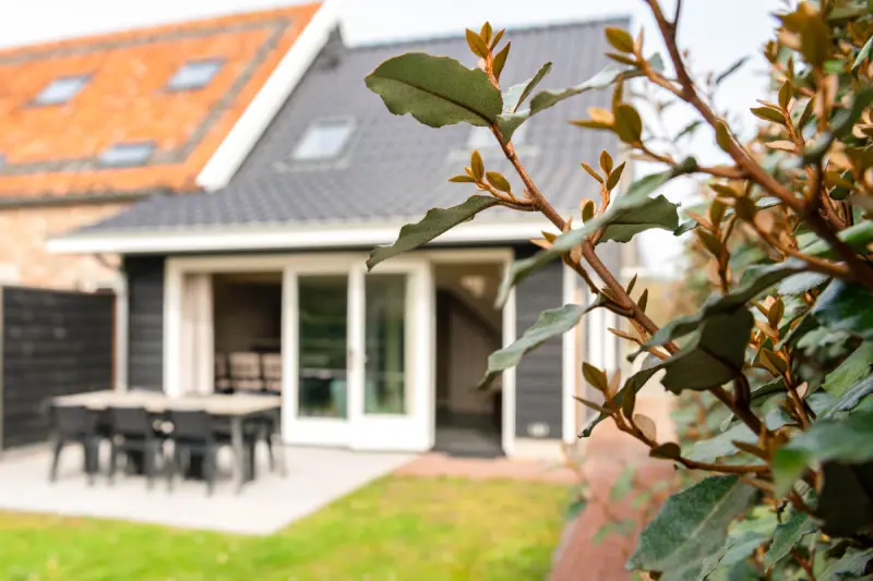 Ferienhaus mit Hund in Veere, Arnemuiden fuer max. 6 Personen