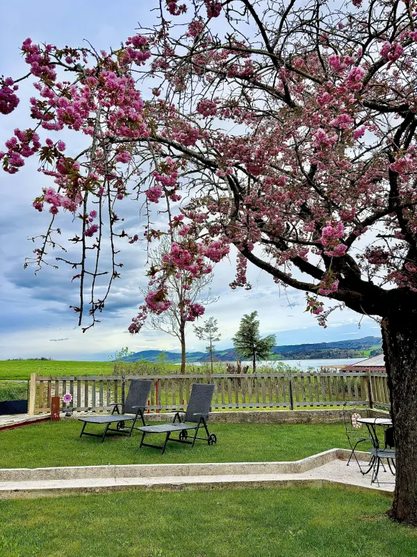 Ferienwohnung Seekirchen am Wallersee