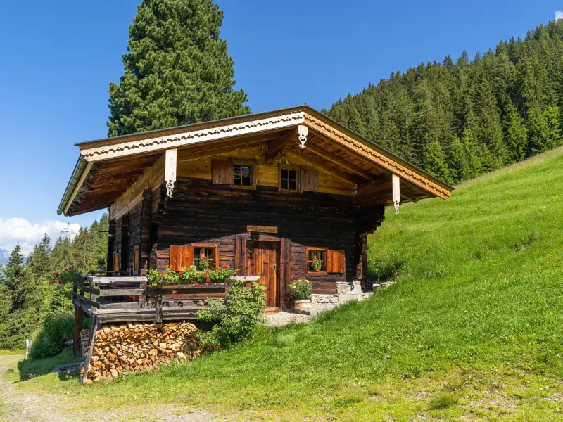 Ferienhaus mit Hund in Alpbach, 