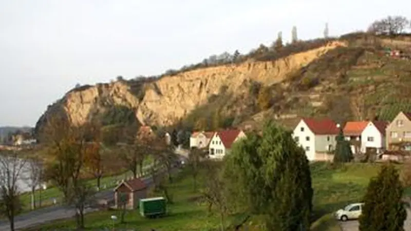 Ferienwohnung Riesa
