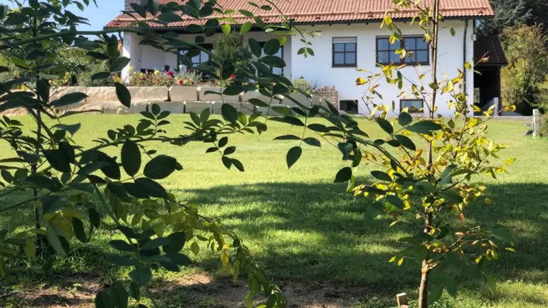 Ferienwohnung Neumarkt in der Oberpfalz