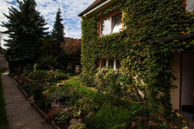 Ferienwohnung  Radebeul