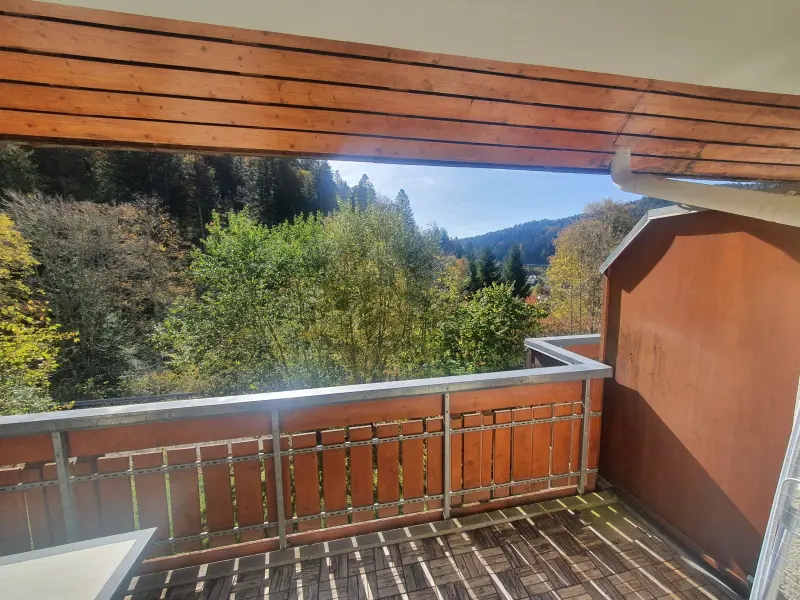 Ferienwohnung in Todtmoos f&uuml;r max. 4 Personen