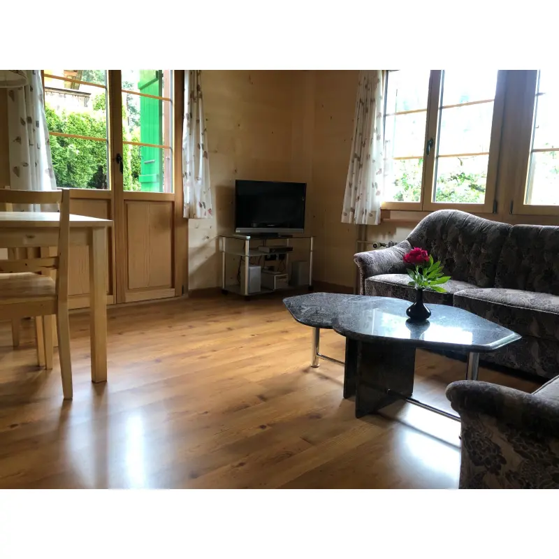 Ferienwohnung Lenk