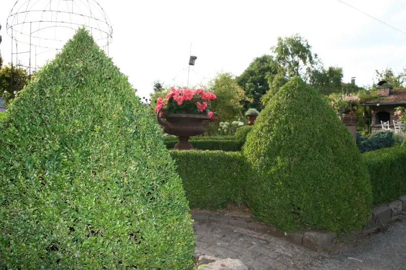 Ferienhaus Schönau (Pfalz)
