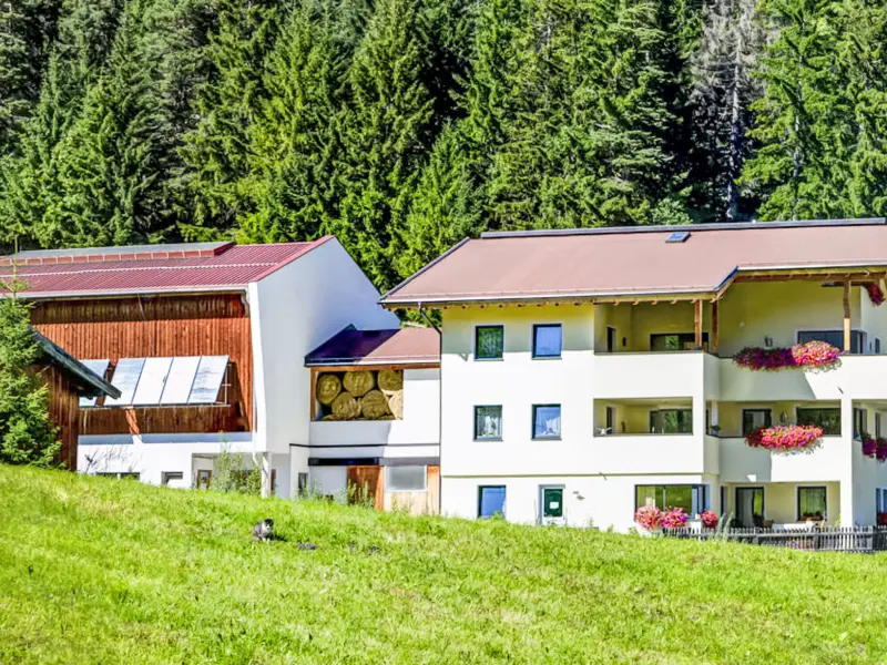 Ferienwohnung mit Hund in Sankt Anton am Arlberg, 