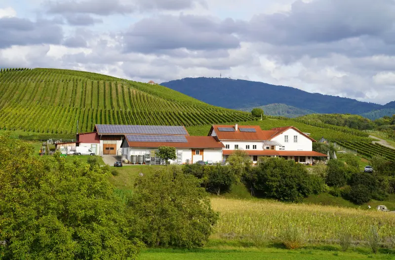 Ferienwohnung Schliengen