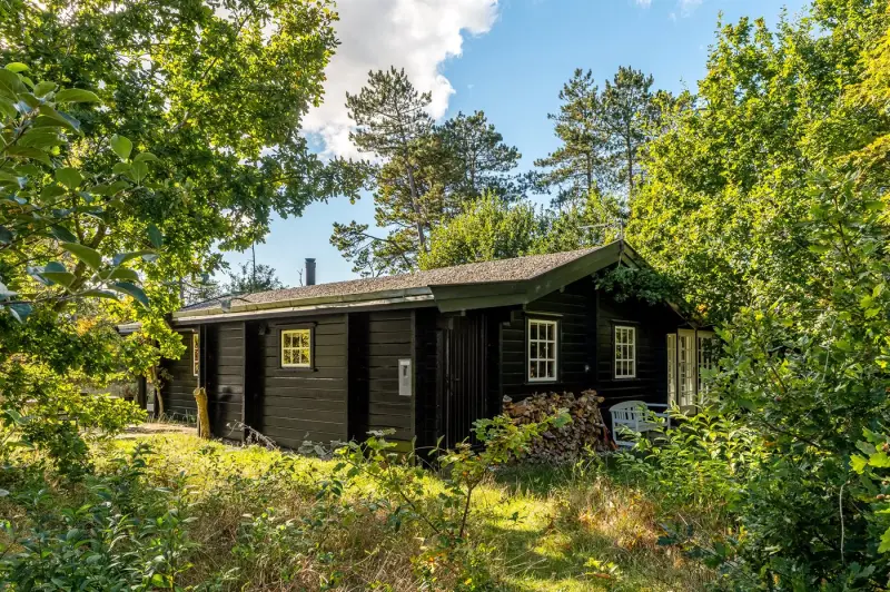Ferienhaus  Aalbæk