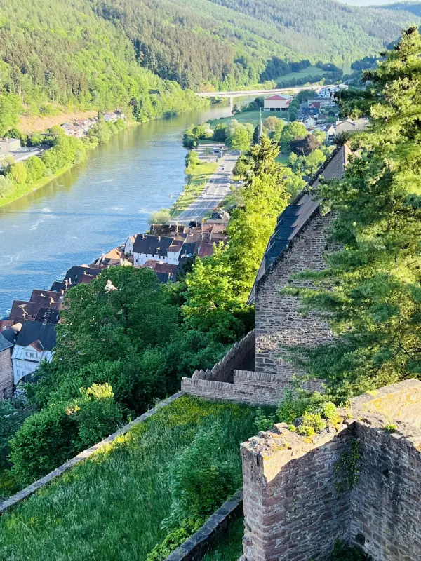 Ferienwohnung Hirschhorn (Neckar)