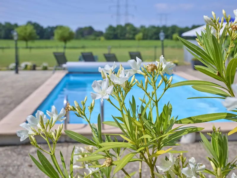 Ferienhaus in Oisterwijk, Nordbrabant f&uuml;r max. 4 Personen