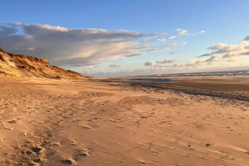 Ferienhaus mit Hund inHouvig Strand  f&uuml;r max. 10 Personen