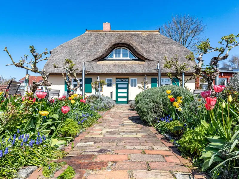 Ferienhaus Zingst