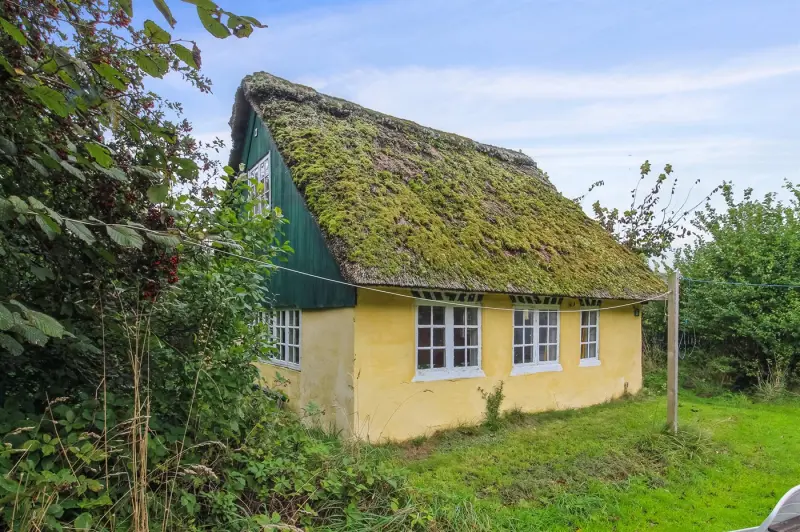 Ferienhaus mit Hund inFanö, Sønderho Sogn  f&uuml;r max. 4 Personen