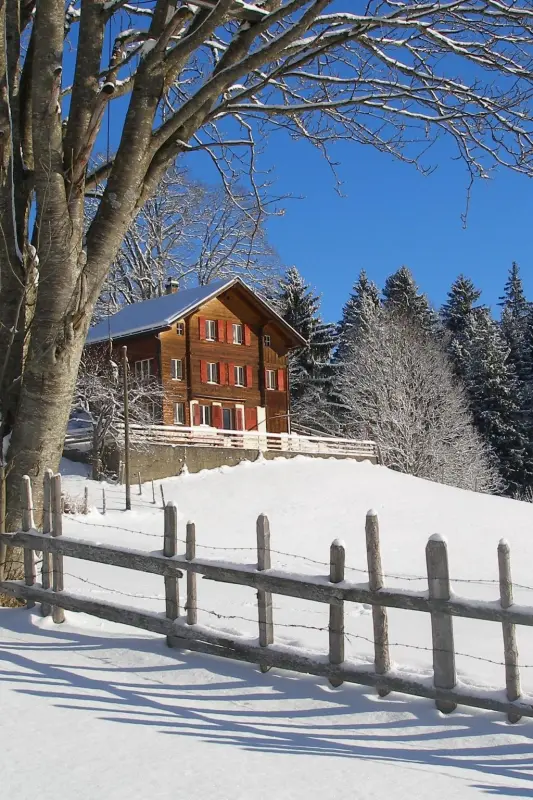 Apartment  Adelboden