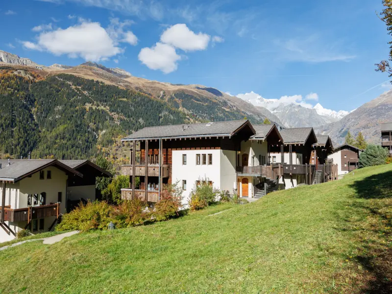 Ferienwohnung mit Hund in Ernen, Aletsch Arena fuer max. 5 Personen