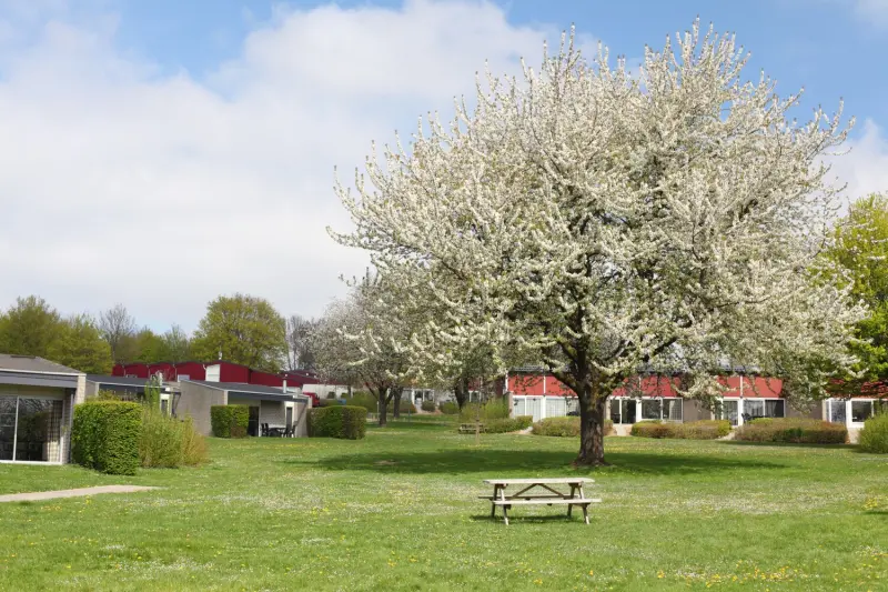 Bungalow Schin op Geul