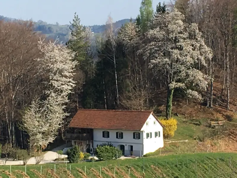 Ferienwohnung Gemeinde Leutschach